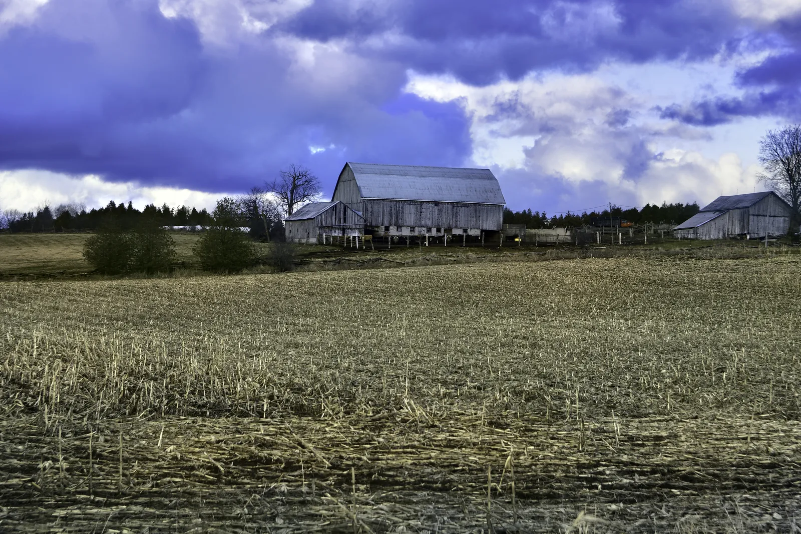 Construction and Pole Barn Builder in Wheatland, WY